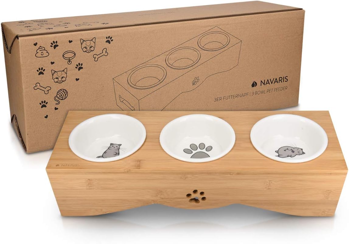 raised dog bowls for small dogs