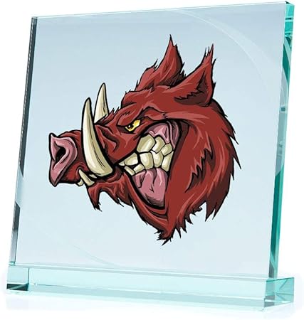 Razorback cycle stickers Clearance