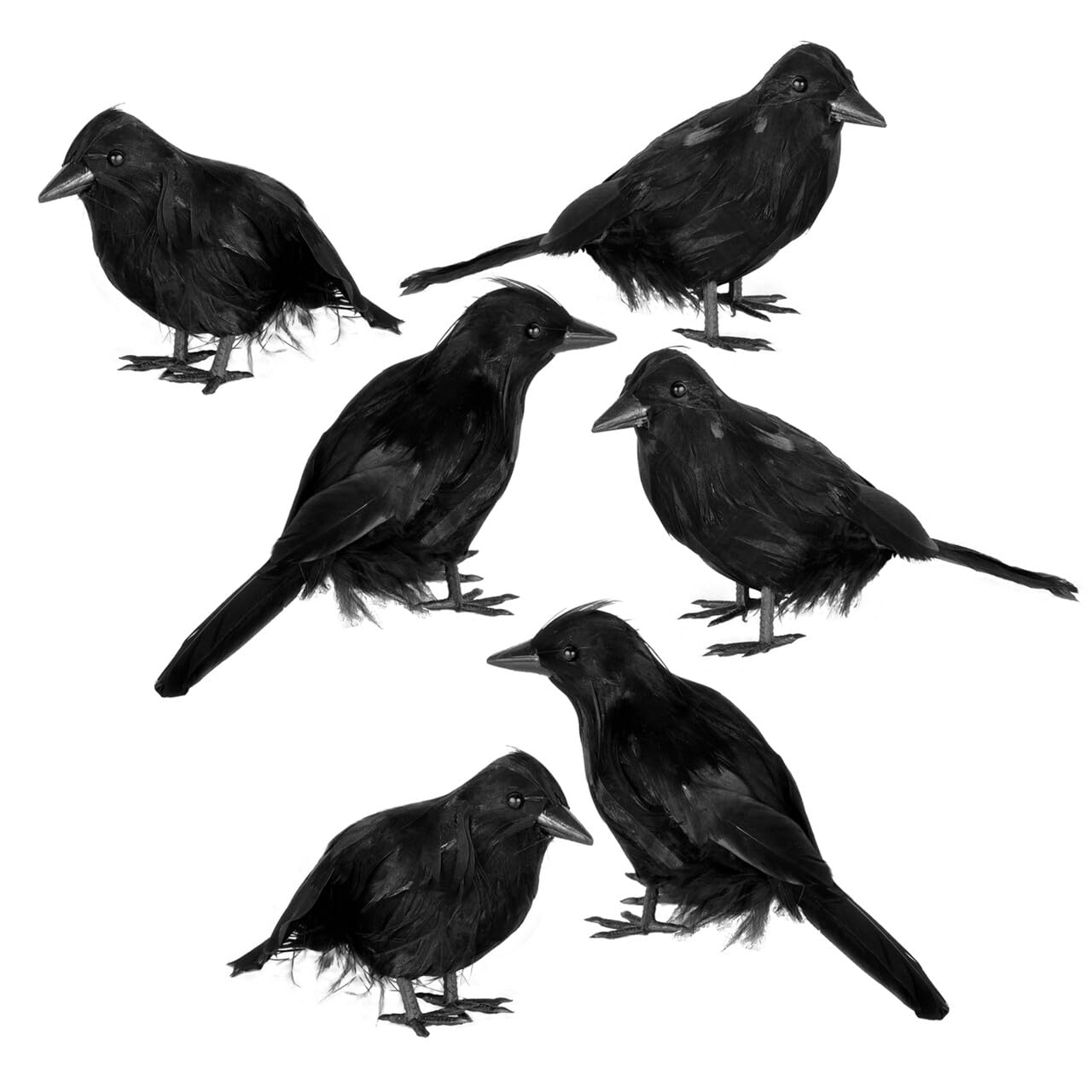 Photo 1 of JOYIN 6 Pcs Black Halloween Crow Decor, Realistic Crow Raven Decoration Indoor Outdoor Decor Fake Ravens Prop Haunted House Graveyard Cemetery Yard Table Party Favors Desk Trees Walls Windows