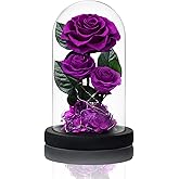 Vryblos 3 Preserved Flowers Roses in Glass Dome with Light for Beauty and The Beast Decor Real Rosas Eternas for Women Mom Birthday,Forever Purple Roses for Delivery, for Wife Girlfriend Her