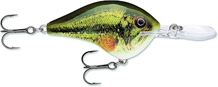 Rapala Dives-to 10 Live Largemouth Bass 