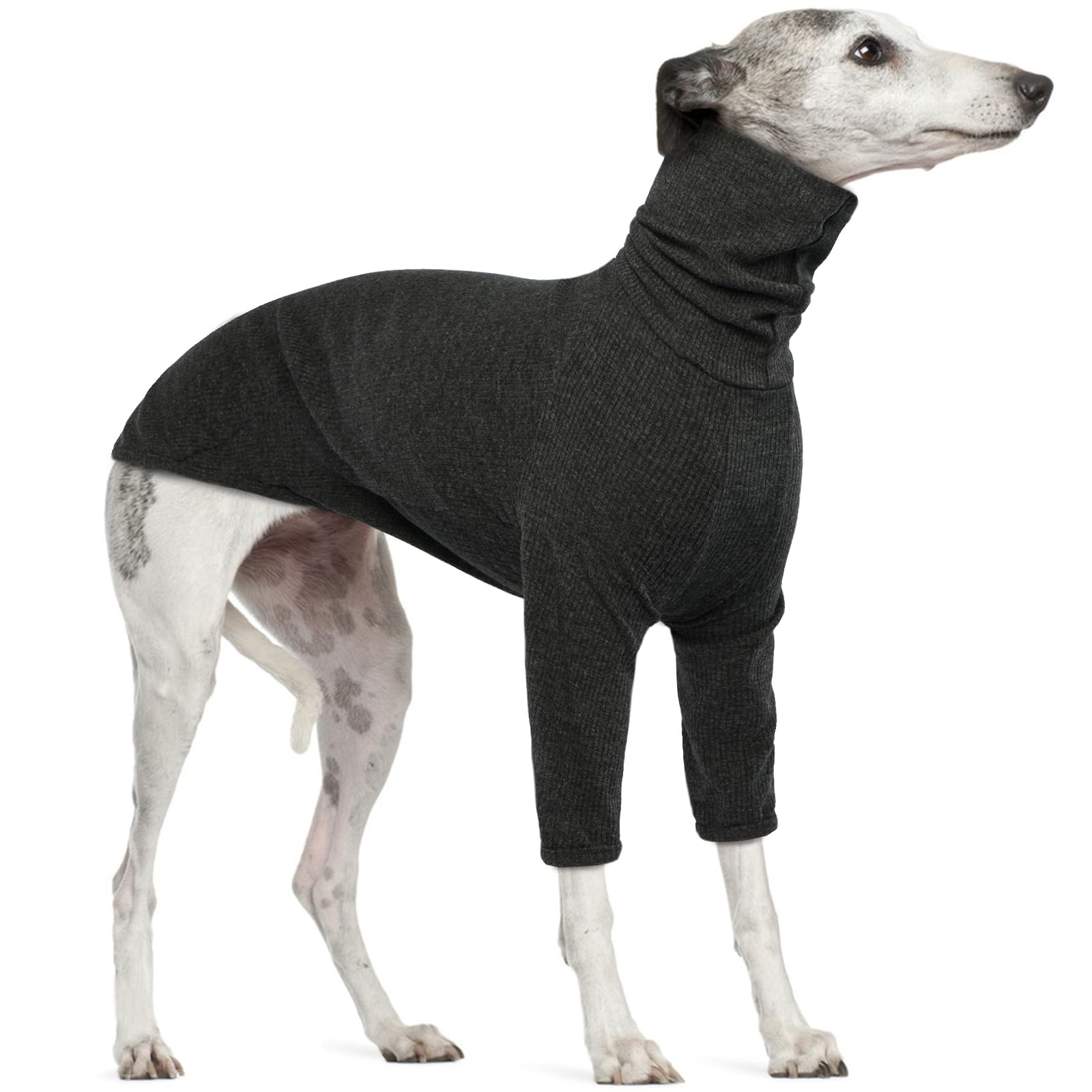 Lightweight Lurcher Jumper, Greyhound Pyjamas Lurcher Pullover Greyhound Shirt Dog Jumpers Medium Size Dog Turtleneck Shirt(Grey, L)