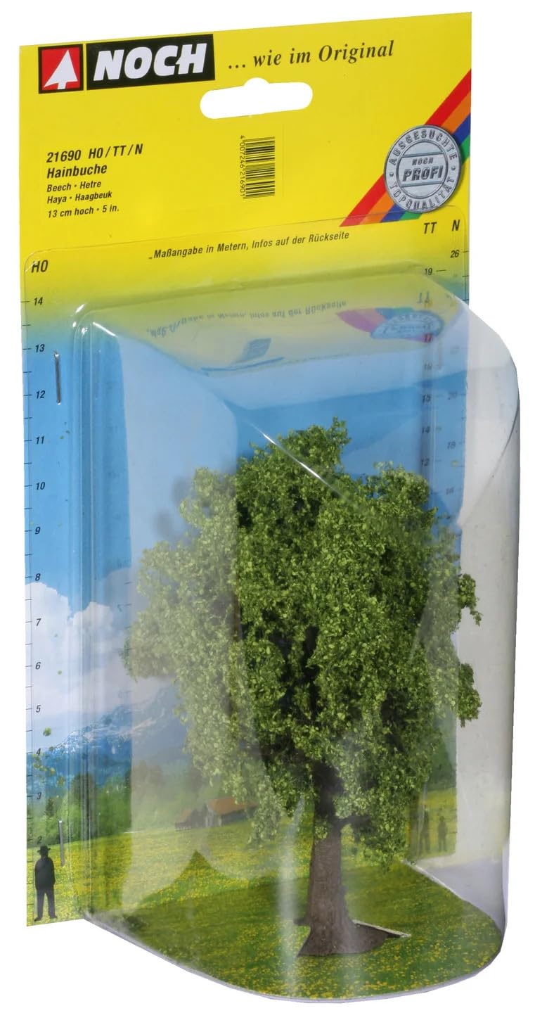 Noch 21690 Beech Landscape Modelling