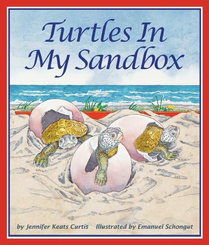 Turtles In My Sandbox Paperback – March 10, 2010