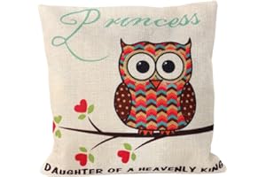 VAYEEBO Bamboo Charcoal Air Purifying Bag Activated Natural Home Odor Absorber,Deodorizer&Moisture Eliminator.Purifier Bag for Closet,Shoe,Pet,Car,large Room,Smoke Smell Remover (owl)