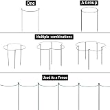 MUAEEOK 6 Pack Plant Support Stakes 25x60cm Half Round Garden Cage view 6