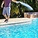 Clorox Pool&Spa Shock XtraBlue 12 Pack (1 lb Bottles)