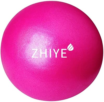 ZHIYE Mini Pilates Ball Yoga Exercise Core Fitness Bender 25cm Pink 80kg