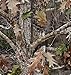 True Timber Kanati 50% Reduced (Perfect Size for Guns Bows Yeti Cups) Camo Hunting Hydrographic Water Transfer Film Hydro Dipping Dip Demon Wizard Ape