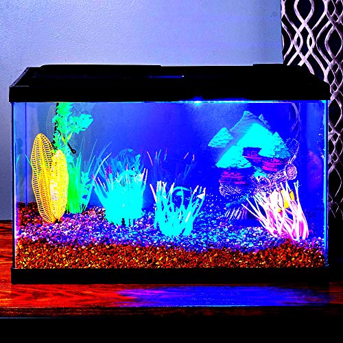 Glass Aquarium 10 Gallon Made from Glass Material Durable Construction Great Fish Construction – Skroutz Deals