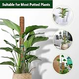 MABUSIYI Moss Pole 2-Pack 40CM Coir Moss Pole for Monstera Pothos Indoor view 5