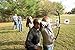 Barnett 1281 Tomcat 2 Compound Bow, Ages 8-12 Years Old