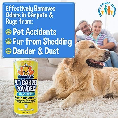 5 Best Carpet Cleaner Powders In 2020 Good Home Time