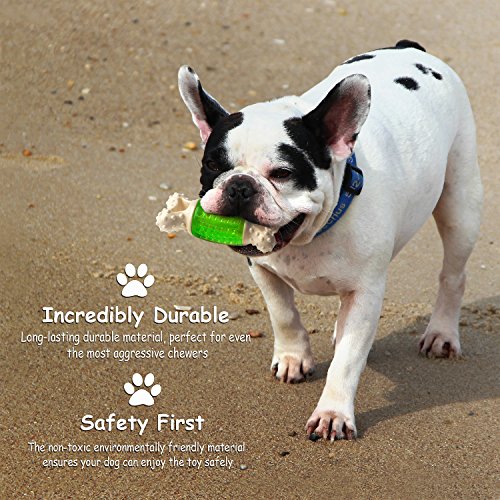 Fluffy Paws 5.6" Durable Squeaky Bone-Shaped Rubber Dental Chewing Biting Pet Toy, Green/White