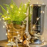 ZISTE Led String Light,Decorative Lights for Bedroom, Patio, Parties,40 Leds lights 10ft,Star Shape Warm White