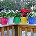 Metal Basket Bucket Planters Pot Assorted Colors Set of 5 for Plant and Flower