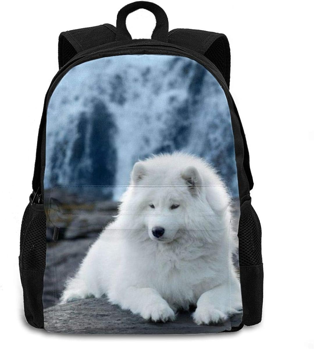 Samoyed Adult Casual Novelty Custom Printed Portable Backpack For Men
