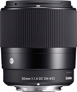 Sigma 30mm F 1 4 Dc Dn Contemporary Lens For Leica L Camera Photo Amazon Com