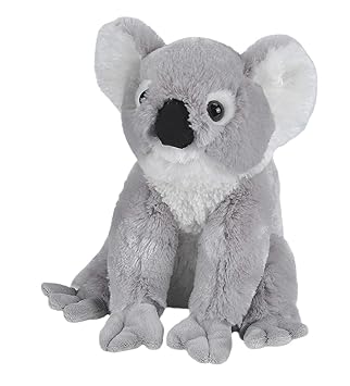 koala peluche ty