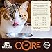 Wellness Core® Natural Grain Free Dry Indoor Cat Food, Chicken & Turkey, 5.9-Pound Bag