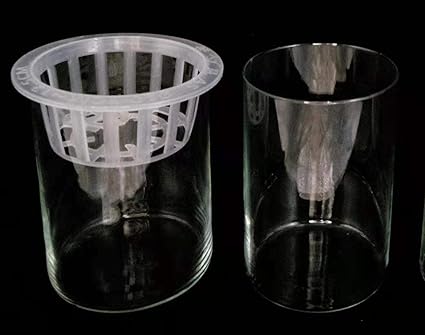 Amazon Com Set Of 3 Glass Cylinder Vases 5 9 Inch Tall Multi Use