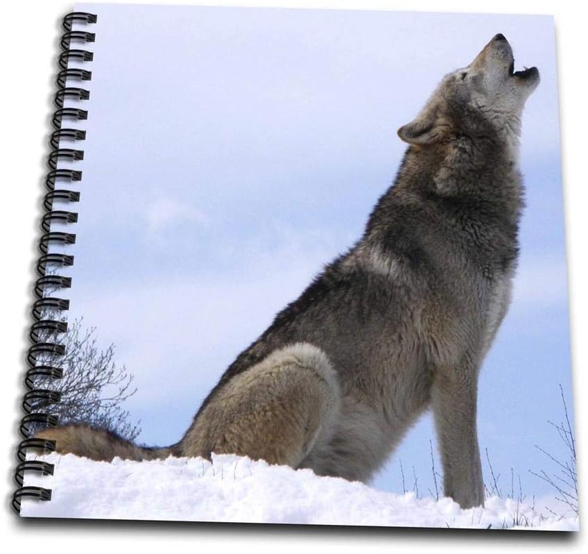 amazon com 3drose db 62431 1 the wolf howling drawing book 8 by 8 inch arts crafts sewing wolf howling drawing book