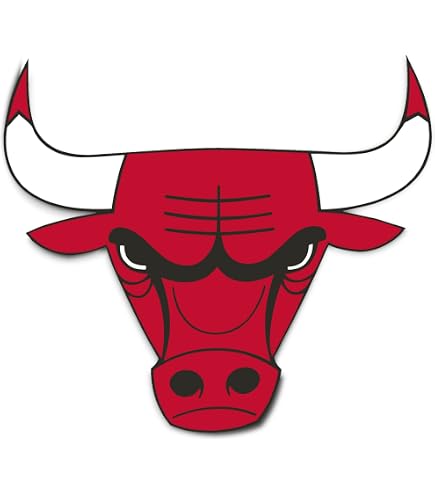 Amazon.com: Chicago Bulls Premium 4x4 Decal with Clear Backing