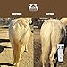 Knotty Horse Apricot Oil Treatment and Detangler for Horses — Detangles and Promotes Healthy Growth, Softness and Shine for Horse Hair — 2 Sizes (1.5 oz and 11 oz) (11 oz)