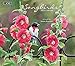 The LANG Companies Songbirds 2020 Wall Calendar (20991001880)