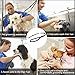 Fdit Dog Grooming Restraint Dog Pet Noose Loop Animal Cat Lock Clip Rope Harness for Grooming Table Arm Bath(S)
