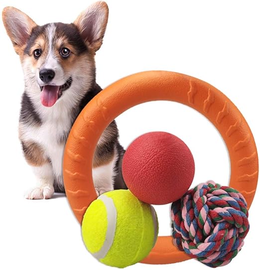 small dogs that play fetch