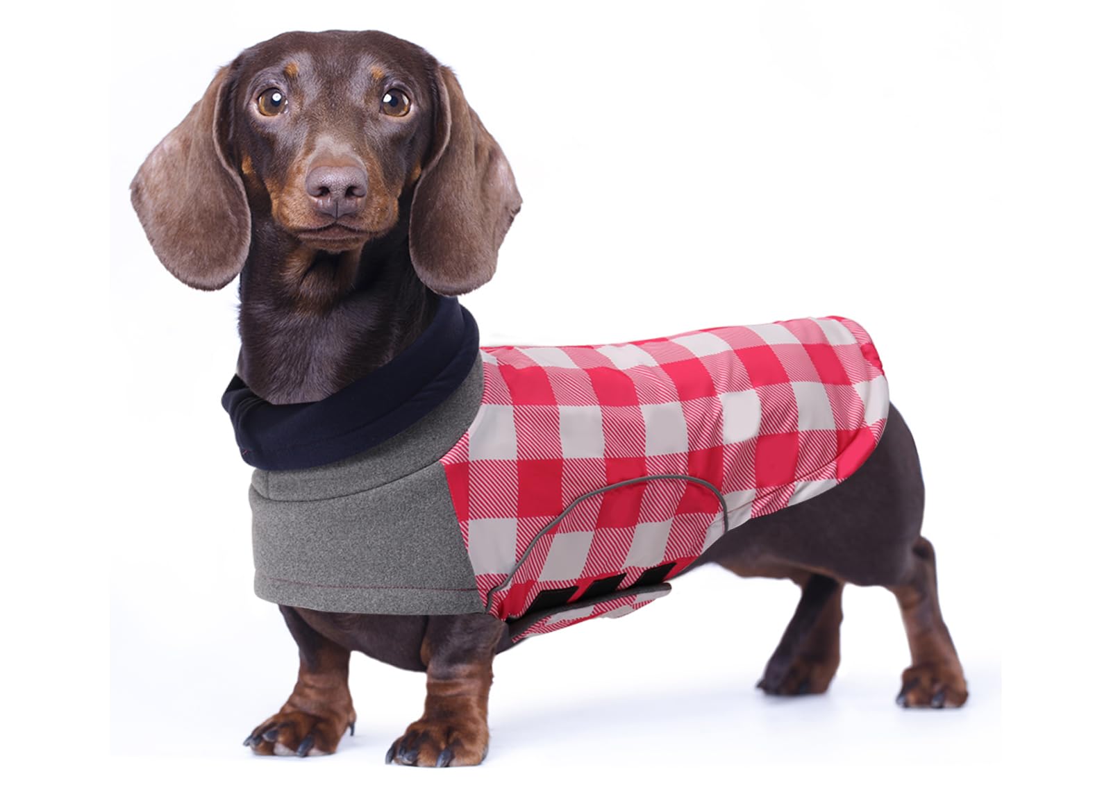 babepet Waterproof Small Dog Winter Coat,Dachshund Coat,Dachshund Colthes, Miniature Dachshund Jacket,Dog Coat with Harness Hole,Pet Garment Ideal for Walking,Hiking,Camping-Pink Plaid-L — image 1