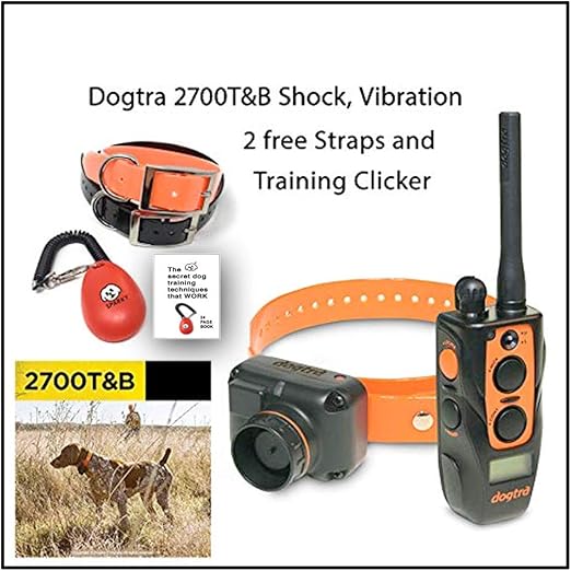 dogtra 2700