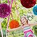 25 Piece Party Decorations Set - Tissue Paper Flowers + Plastic Swirls Bundle - Party Streamers - Tissue Paper Pom Poms - Multi-Color