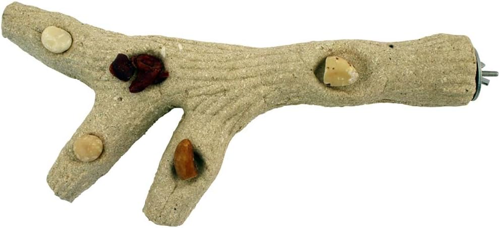 EDIBLE BIRDY BRANCH - LGE, Clear - Image 4