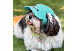 Dog-O-Bow Teal Blue Baseball Cap for Dogs (Large)