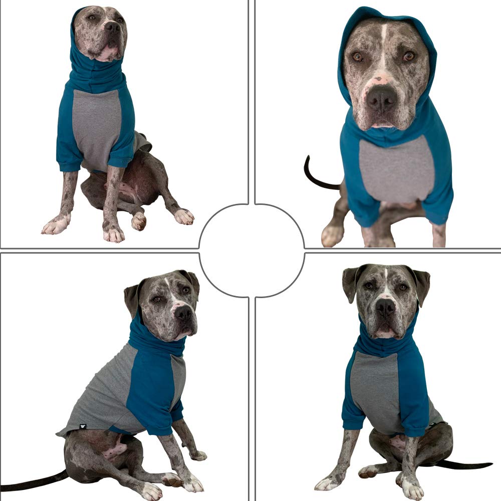 sweaters made for pitbulls