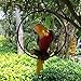 Hanging Parrot Statue Sculpture On Metal Round Ring Decor for Patio Garden Lawn and Nature Lovers Tropical Bird Collectors by Gifts