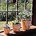 Aquaphoric Self Watering Planter (7”) + Fiber Soil = Foolproof Indoor Home Garden. Modern Decorative Planter Pot for All House Plants, Flowers, Herbs, African Violets, Succulents. Easy / Looks Great.