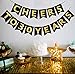 Threemart Cheers to 30 Years Banner 30th Birthday Party Banner 30th Anniversary Party Decoration Bunting