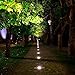 Landscape Lights Low Voltage Led Pathway Lights 1W 12V-24V Outdoor Landscaping Lights Outside Landscape Lighting In Ground Well Lights for Driveway, Deck, Step, Outdoor Garden Lights (Cool White)
