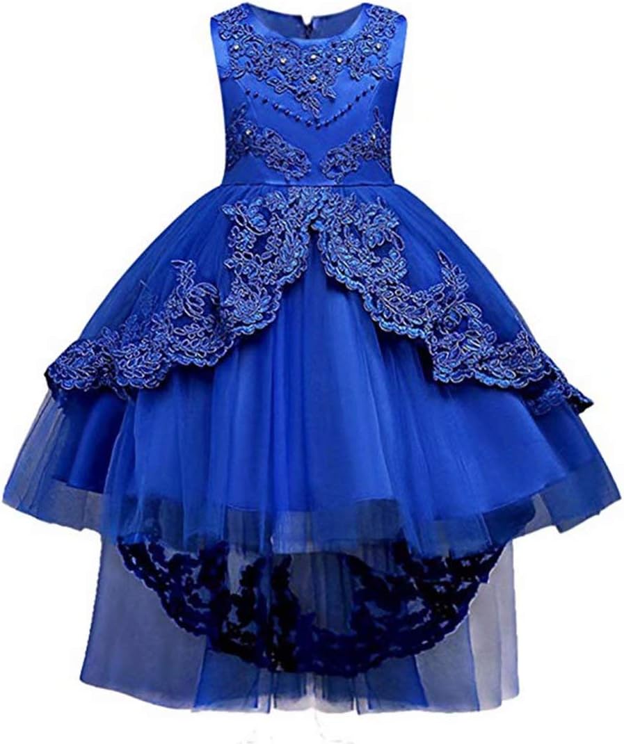Girls Dresses Party Formal Wedding Special Occasion Embroidery Flowers Hi-Low