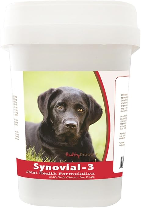 labrador joint supplement