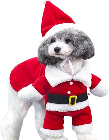 cute dog presents