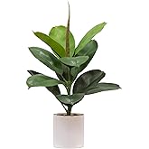 Nearly Natural 20-Inch Artificial Fiddle Leaf Fig Plant in Plastic Planter