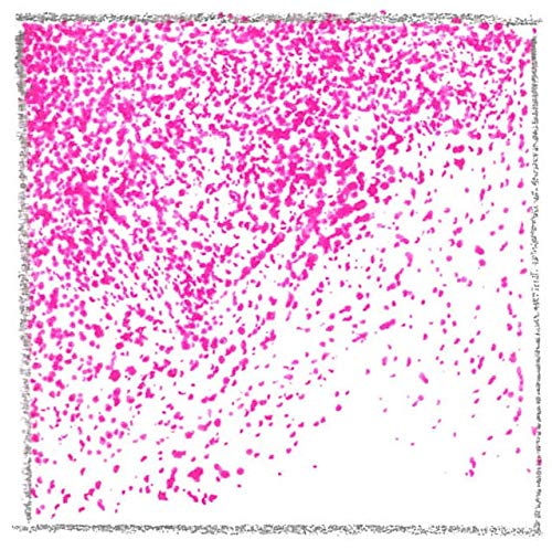 Cuttlelola Cuttelola Dotspen Refill Cartridges Pack of 5-Pink, 11.3 x 4.9 x 0.2 cm