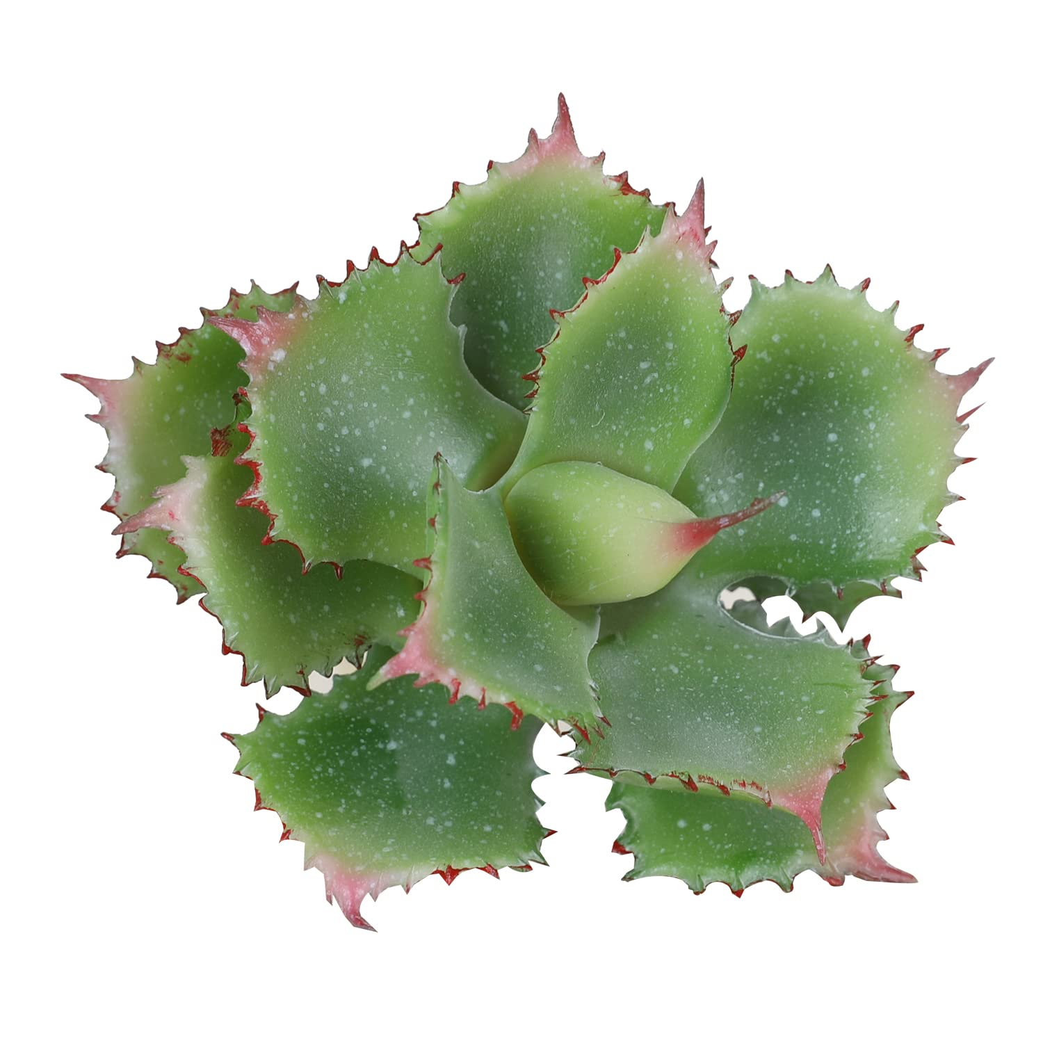 Duovlo Pack of 2 Artificial Succulent Plant 7.08 Inch Faux Succulents Agave potatorum Flower Arrangement Craft Wall DIY Materials (Green) — image 1