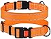 CollarDirect Reflective Dog Collar, Safety Nylon Collars for Dogs with Buckle, Outdoor Adjustable Puppy Collar Small Medium Large (Neck Fit 12