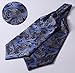 SetSense Men's Paisley Jacquard Woven Self Cravat Tie Ascot Set One Size Blue/Yellow/Black