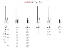 TEKTON 3/8 Inch Drive Hex, Torx, TR